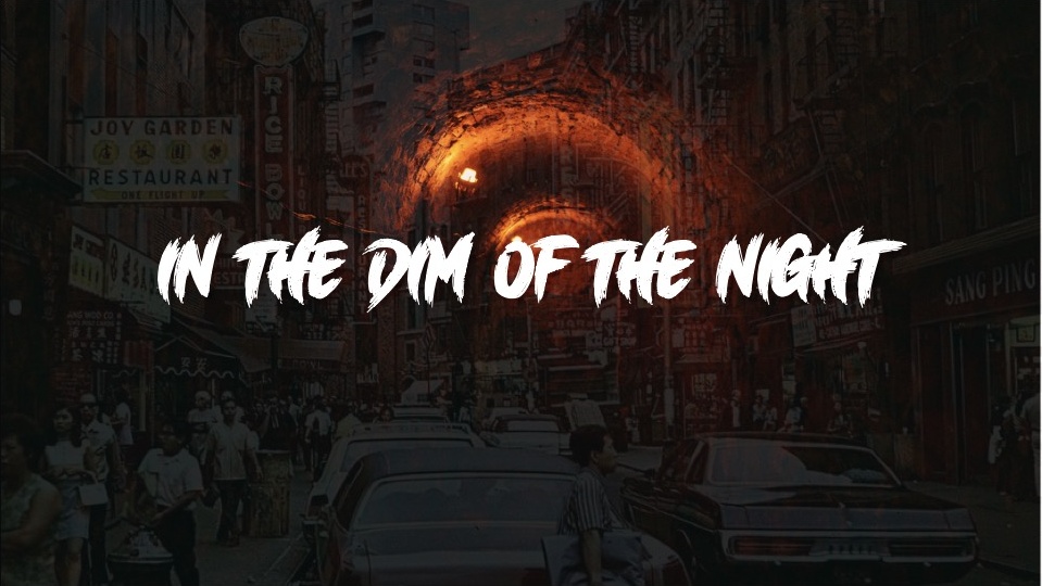 In the Dim of the Night